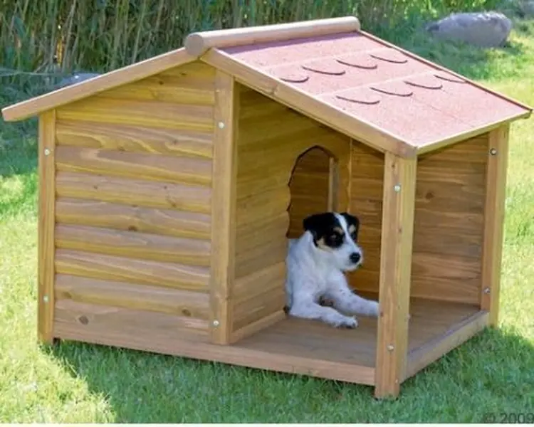 semanal Viscoso Minero Síntesis de 24+ artículos: como hacer una casa para perros [actualizado  recientemente] - spain.damri.edu.vn